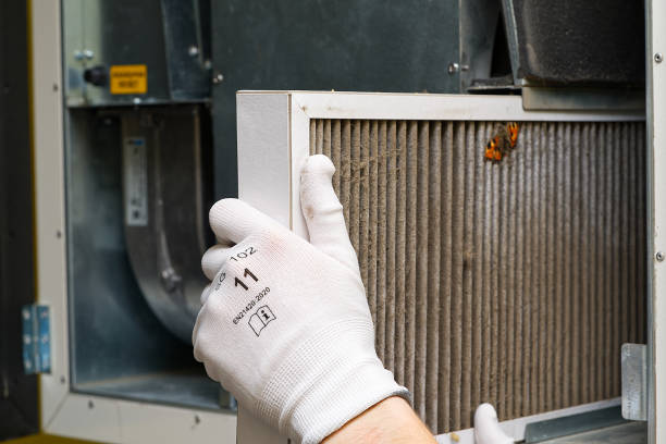 Air Quality Test in Avalon, CA